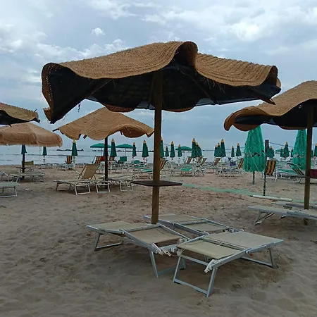 Blu -oltremare *